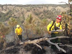 La disminución también se dio en el bosque La Primavera. EL INFORMADOR/Archivo