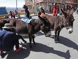 Ciudadanos venden leche de burra, a la que le atribuyen beneficios contra resfriados y neumonía, en un mercado de la ciudad de La Paz. EFE/M. Alipaz