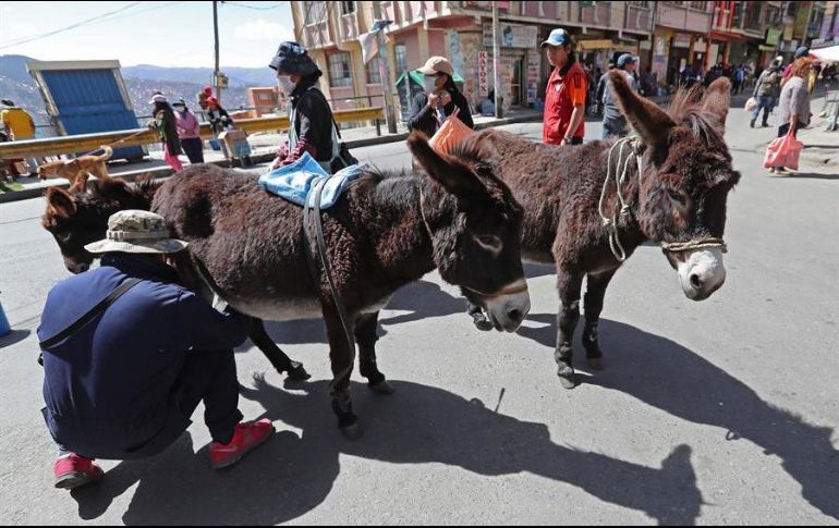 Ciudadanos venden leche de burra, a la que le atribuyen beneficios contra resfriados y neumonía, en un mercado de la ciudad de La Paz. EFE/M. Alipaz