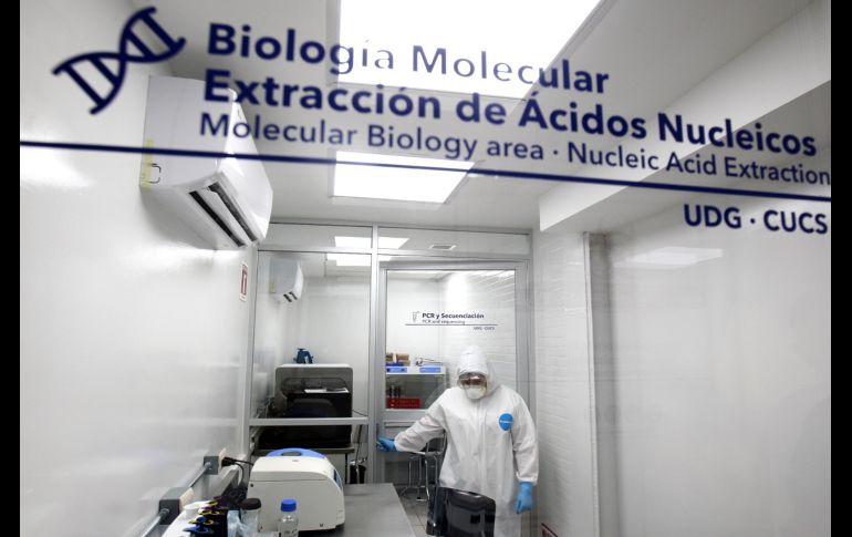 La UdeG hará pruebas en un laboratorio en el Centro Universitario de Ciencias de la Salud (CUCS). AFP/U. Ruiz