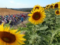 Por primera vez desde la Segunda Guerra Mundial, el Tour ha sufrido una alteración y de julio se desplazará entre el 29 de agosto y el 20 de septiembre. AP / ARCHIVO