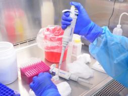 La entidad reporta un total de 90 casos positivos a la enfermedad, de los cuales 11 se encuentran totalmente recuperados con resultados de prueba negativa. TWITTER/@TamaulipasSalud