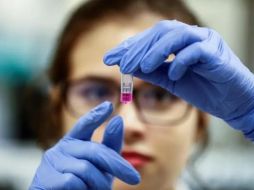 Otras 67 vacunas más se encuentran en proceso de desarrollo, por parte de 19 países. EFE / ARCHIVO