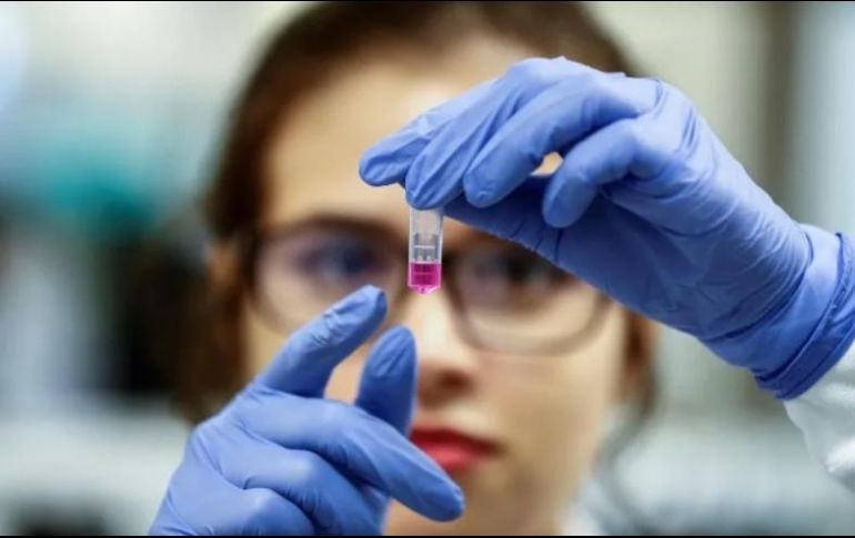 Otras 67 vacunas más se encuentran en proceso de desarrollo, por parte de 19 países. EFE / ARCHIVO