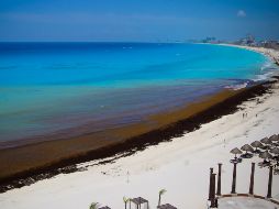 La fuerte sacudida se sintió en ciudades como Cancún, Chetumal y Villahermosa, según los datos del Servicio Geológico de los Estados Unidos. NTX / ARCHIVO