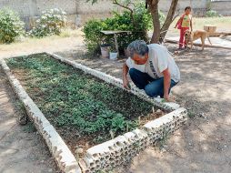 Como la pandemia afectó la fuente principal de ingresos de Nabor, él ahora dedica su tiempo a un huerto en la Colonia Lomas del Centinela. EL INFORMADOR/G. Gallo