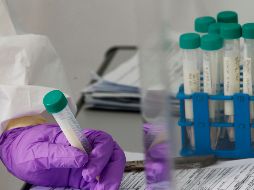 De acuerdo con la OMS, una vacuna específica para el nuevo coronavirus, que ha desencadenado la actual pandemia, podría tomar al menos 12 meses o más. EFE / ARCHIVO