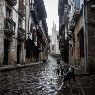 España supera los 200 mil casos positivos de COVID-19