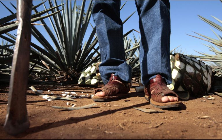 Pese a mantener operaciones, las firmas trabajan con menos de 50 personas.  EL INFORMADOR/Archivo