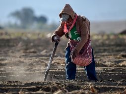 Sobre el inicio del T-MEC, dijo que se llegará a un acuerdo por cuestiones excepcionales, pues el presidente Trump reconoce que ''hay productores agrícolas en EU que requieren de trabajadores mexicanos'', entre otros. AFP / ARCHIVO