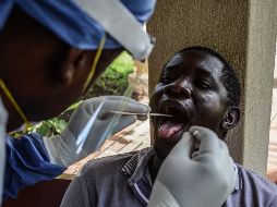 El desarrollo de un medicamento dirigido a este virus tomará tiempo debido a que son varias las etapas que conlleva. AFP / B. Ongoro