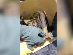 En el paquete había una bolsa de plástico color dorado, con la leyenda de ''mole almendrado'', la cual contenía una hierba seca con las características de la mariguana. TWITTER / @GN_MEXICO_