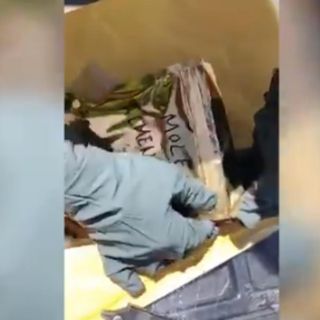 Incautan mariguana oculta en mole en el Aeropuerto de Chihuahua