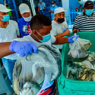 Fotogalería: donan pescado a indígenas aislados por COVID-19 en Panamá