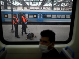 Las pruebas aplicadas no identifican a enfermos de COVID-19 sino a quienes estuvieron en contacto con el virus y cursaron la enfermedad de forma asintomática. AP/N. Pisarenko