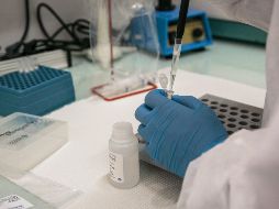 Según un informe publicado este sábado, este tipo de certificados podría elevar el riesgo de transmisión continua del COVID-19, la enfermedad causada por el virus. AFP / ARCHIVO