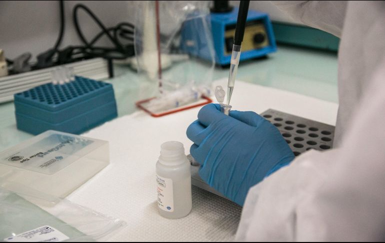 Según un informe publicado este sábado, este tipo de certificados podría elevar el riesgo de transmisión continua del COVID-19, la enfermedad causada por el virus. AFP / ARCHIVO