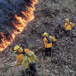 Se registra incendio en El Diente por la madrugada