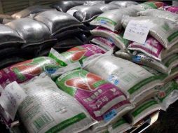 Gobiernos y asociaciones enfocan la ayuda a la población sin ingresos por la contingencia. ESPECIAL