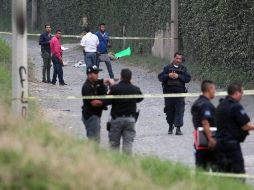 El Presidente admite que no se ha podido erradicar la violencia, sin embargo afirma que es un tema en el que se trabaja todos los días con la finalidad de alcanzar la paz. EL INFORMADOR / ARCHIVO