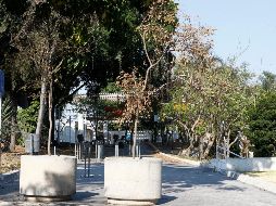 Denuncian falta de riego en áreas verdes de Parque Alcalde