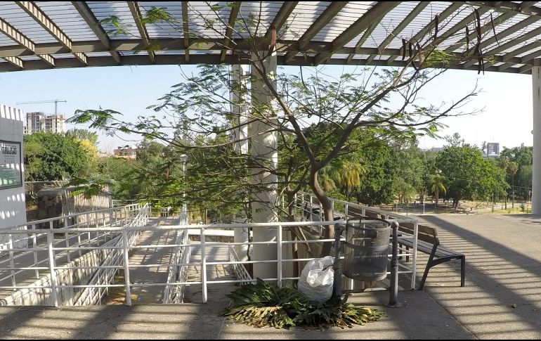 EL INFORMADOR / A. Camacho