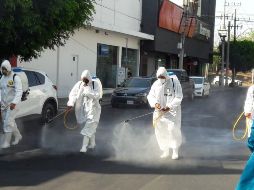 Hasta el momento, UCMA ha sanitizado más de 760 tráileres que llegan y salen del Mercado. ESPECIAL