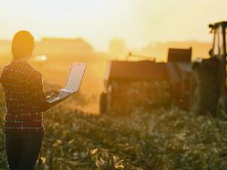 El sector agrícola genera 23% de las emisiones mundiales de gases de efecto invernadero, mientras que el 70% de la deforestación en América Latina es consecuencia de la expansión de la agricultura comercial. ESPECIAL