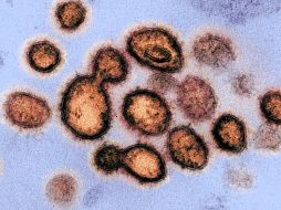 De acuerdo a un estudio, el coronavirus puede permanecer en el aire de los espacios que carecen de ventilación.  EFE / ARCHIVO