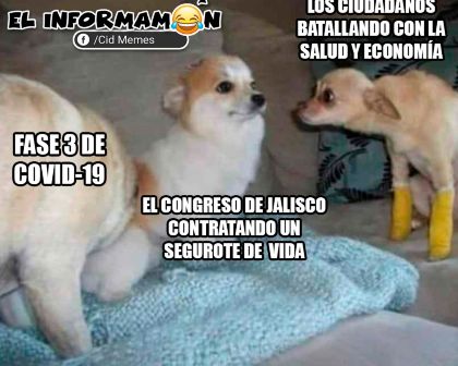 Seguro en el Congreso