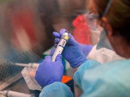 La comunidad de inteligencia tuvo la tarea de examinar si el virus que causó la pandemia surgió accidentalmente de un laboratorio en Beijing. AP / ARCHIVO