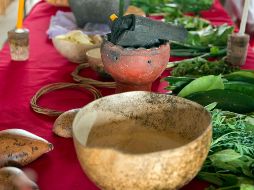 Existe un peligro de la información falsa en redes sociales sobre la actividad de ciertos remedios para el tratamiento contra el COVID-19. EL INFORMADOR / ARCHIVO