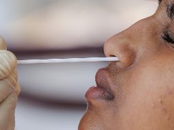 Aseguran que están informando a los posibles afectados como farmacéuticas y, centros de investigación médica para que tomen las medidas necesarias y se protejan. EFE /