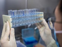 El virus mutado puede hacer que las personas sean vulnerables a una segunda infección después de haber sufrido una primera. AFP / N. Asfouri