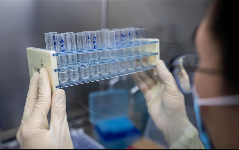 El virus mutado puede hacer que las personas sean vulnerables a una segunda infección después de haber sufrido una primera. AFP / N. Asfouri