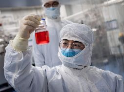 El ensayo permite la evaluación de las distintas vacunas candidatas simultáneamente para identificar la más segura y potencialmente más eficaz. AFP / ARCHIVO