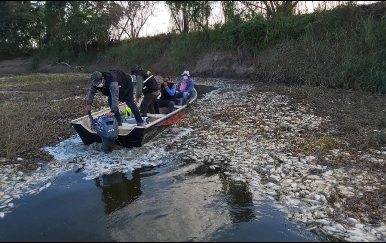 El Ministerio del Ambiente acudió al lugar para tomar muestras de agua y peces para ser analizados. TWITTER / @arieloviedo