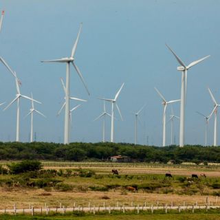 Abandonar energías renovables impacta inversión y salud de mexicanos