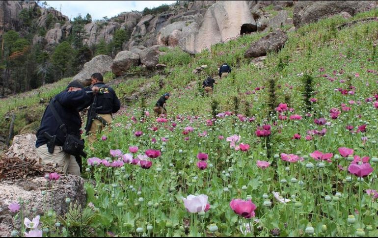 Advierten que los narcos podrían aprovecharse de la vulnerable situación de los más pobres para aumentar su prestigio. NTX/ARCHIVO