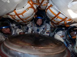 Los responsables del estudio consideran que la urea es capaz de romper enlaces de hidrógeno y reducir la viscosidad de las mezclas fluidas. AP / ARCHIVO