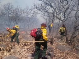 Tan solo en 2019 se generaron 152 incendios forestales en Jalisco, de los que el 91 por ciento fueron provocados de manera intencional o irresponsable. ESPECIAL / ARCHIVO