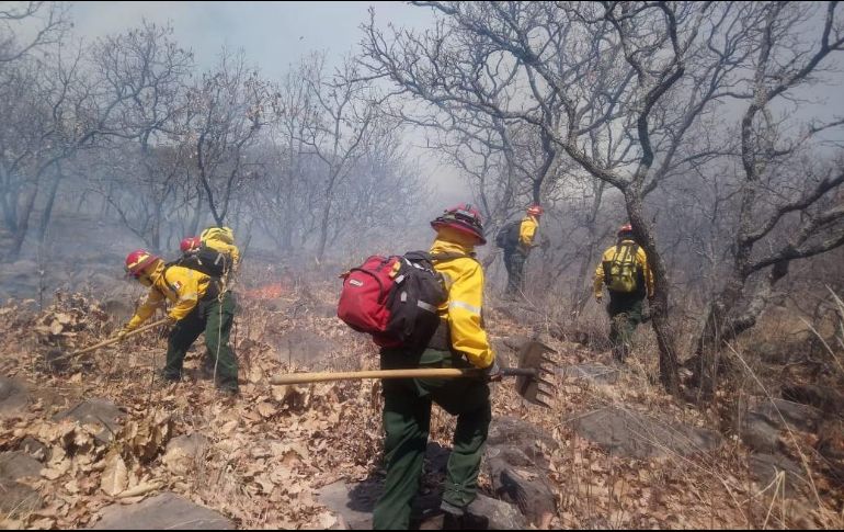 Tan solo en 2019 se generaron 152 incendios forestales en Jalisco, de los que el 91 por ciento fueron provocados de manera intencional o irresponsable. ESPECIAL / ARCHIVO