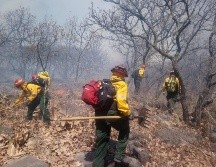 Tan solo en 2019 se generaron 152 incendios forestales en Jalisco, de los que el 91 por ciento fueron provocados de manera intencional o irresponsable. ESPECIAL / ARCHIVO