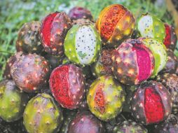 Fruta. Las pitayas son ricas en fibra. EL INFORMADOR/E. Barrera