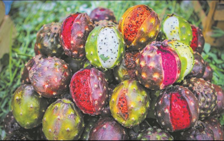 Fruta. Las pitayas son ricas en fibra. EL INFORMADOR/E. Barrera