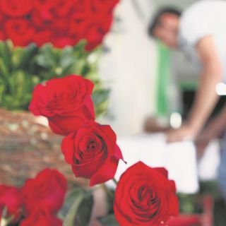 Apuestan a plataformas para enviar flores a las madres