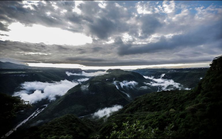 EL INFORMADOR/ARCHIVO