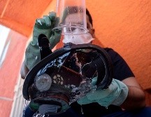 "Tenemos miedo", la sombra que cubre a médicos de Tijuana