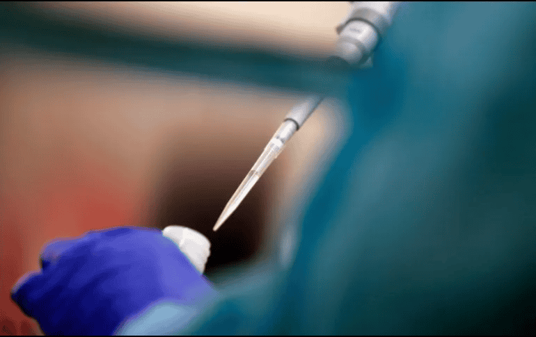 Durante el estudio de la heparina, el grupo descubrió que además de servir como coagulante, este medicamento se puede unir a varias proteína. AP / ARCHIVO