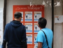 El 79.5 por ciento de los empleos generados en Jalisco durante el año 2019 fueron permanentes y el 20.5 por ciento eventuales. EL INFORMADOR / ARCHIVO
